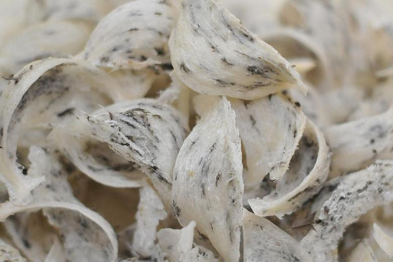 Yến thô Mai Vy Tuệ 50gr