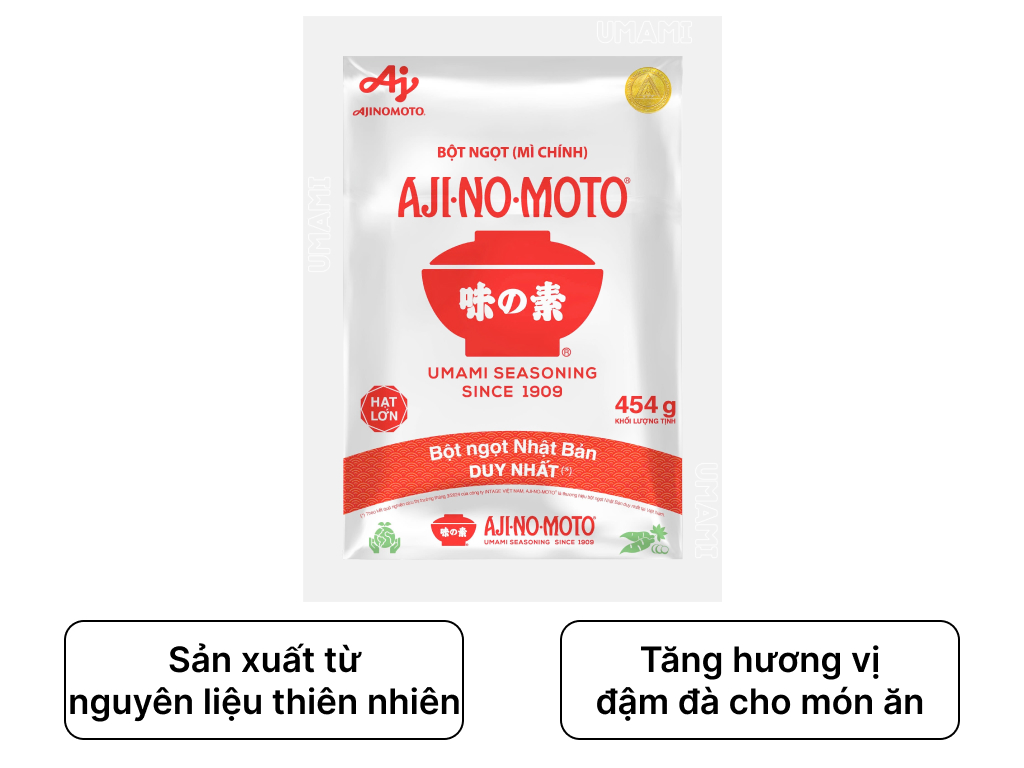 Bột ngọt Ajinomoto 454g 1