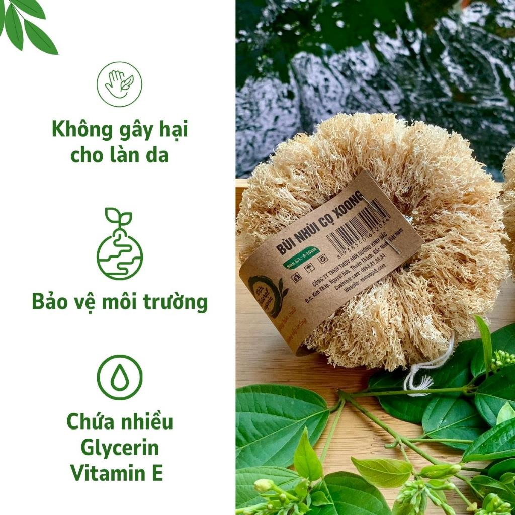 Bùi nhùi xơ mướp chà rửa 1