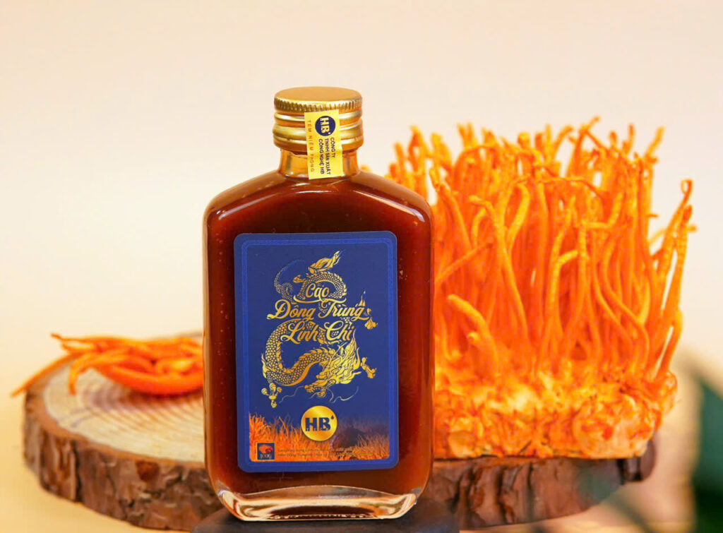 Cao đông trùng linh chi HB 1