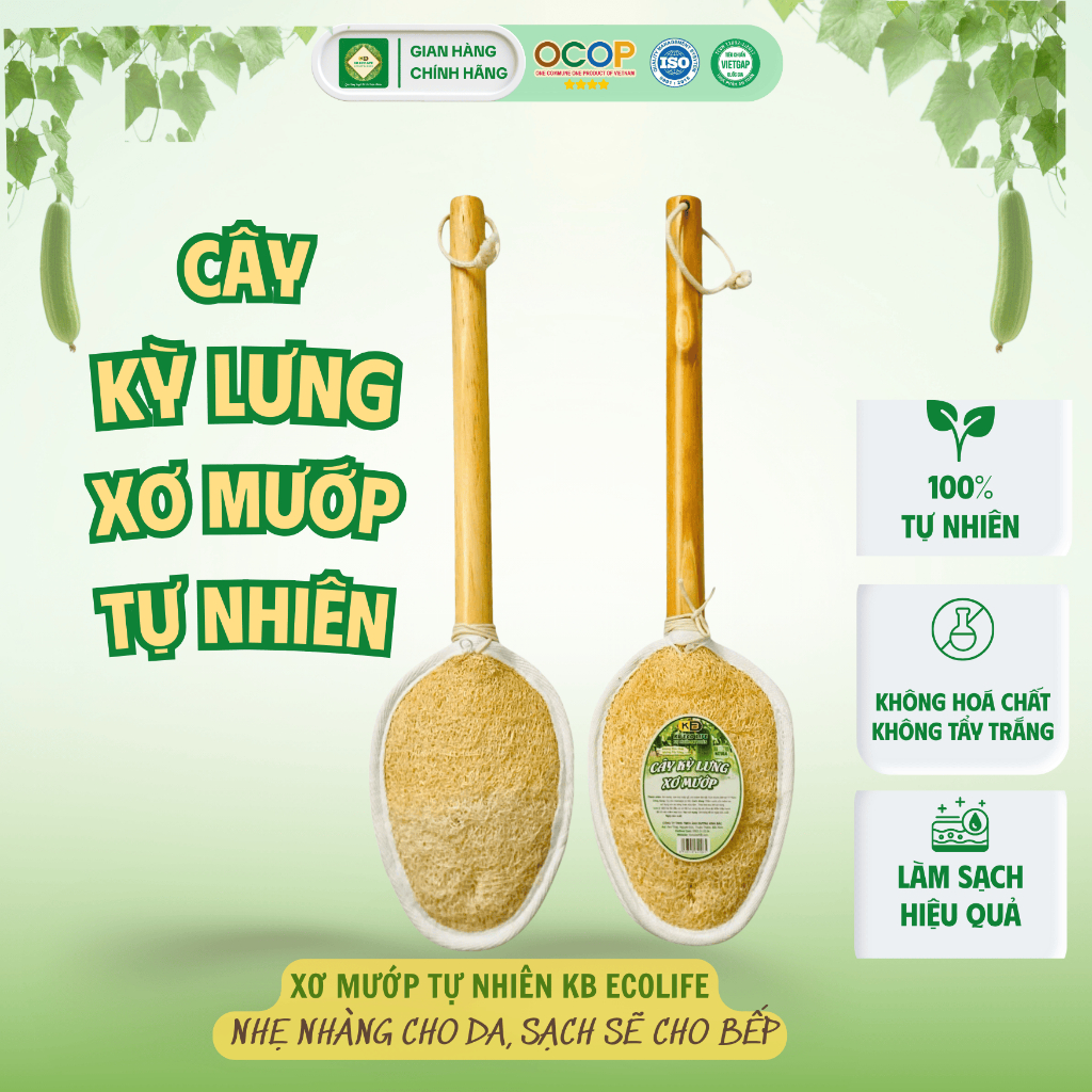 CÂY KỲ LƯNG XƠ MƯỚP CÁN 38CM 11*15CM 1