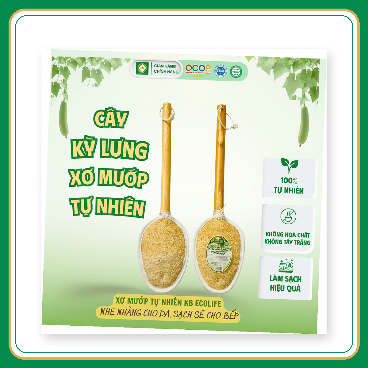 CÂY KỲ LƯNG XƠ MƯỚP CÁN 38CM 11*15CM