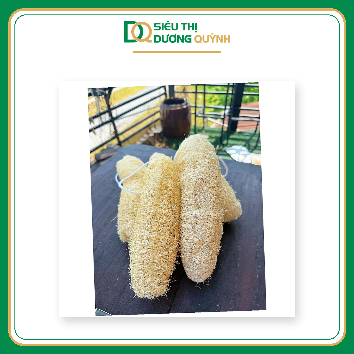 Xơ mướp nguyên trái 20–25cm